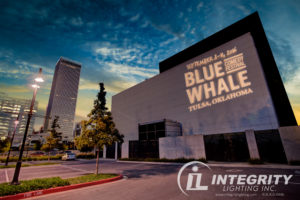 bluewhale-gobo-nwm-1